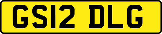 GS12DLG