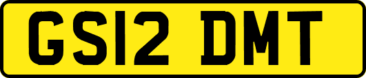 GS12DMT
