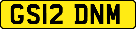 GS12DNM