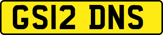 GS12DNS