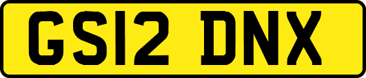 GS12DNX
