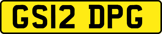 GS12DPG
