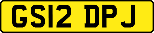 GS12DPJ