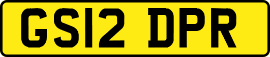 GS12DPR