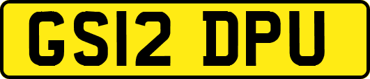 GS12DPU