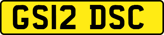 GS12DSC