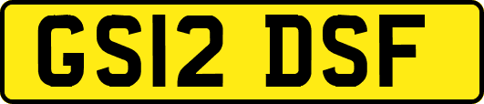 GS12DSF