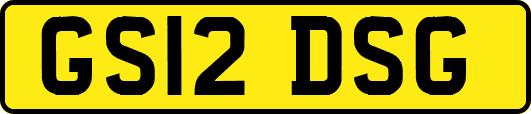 GS12DSG
