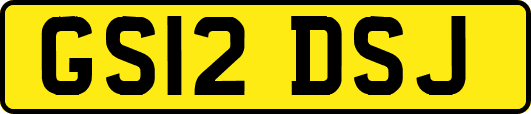 GS12DSJ