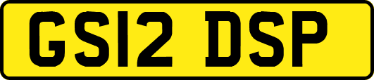 GS12DSP