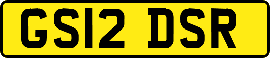 GS12DSR