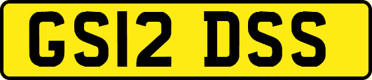 GS12DSS