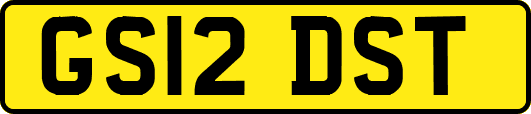 GS12DST