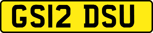 GS12DSU