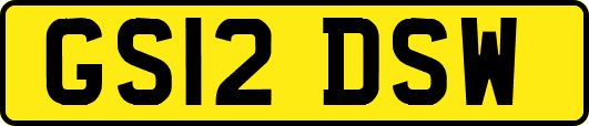 GS12DSW