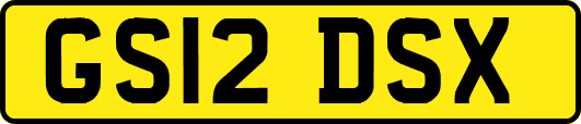 GS12DSX
