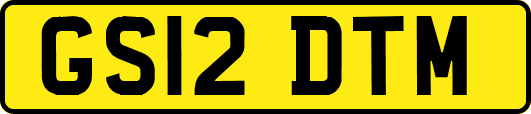 GS12DTM