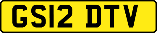 GS12DTV
