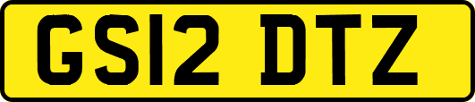 GS12DTZ