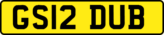 GS12DUB