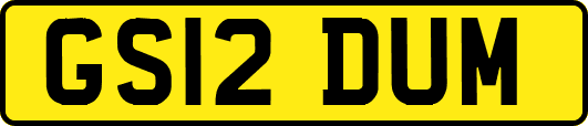 GS12DUM