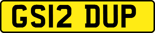 GS12DUP