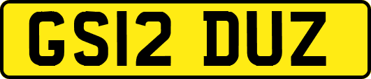 GS12DUZ