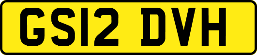 GS12DVH