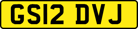 GS12DVJ