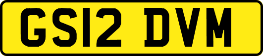 GS12DVM