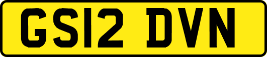 GS12DVN