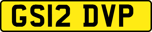 GS12DVP