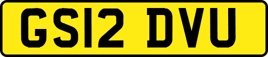 GS12DVU