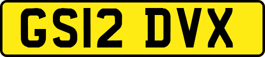 GS12DVX
