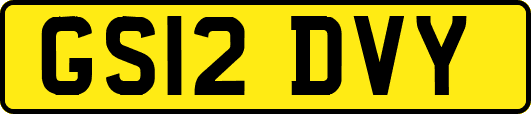 GS12DVY