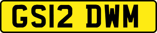GS12DWM