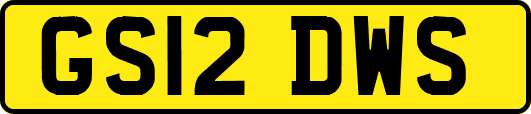 GS12DWS