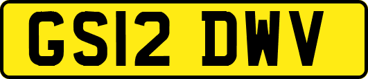 GS12DWV