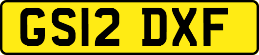 GS12DXF