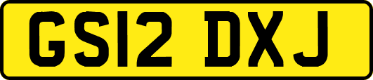 GS12DXJ