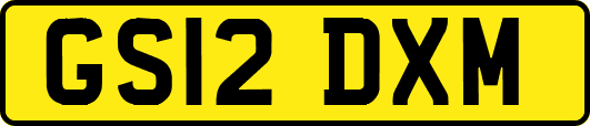 GS12DXM
