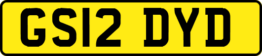 GS12DYD