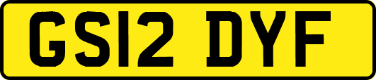 GS12DYF