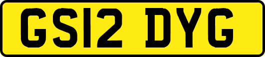 GS12DYG