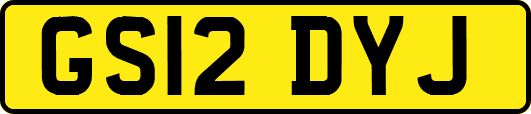 GS12DYJ