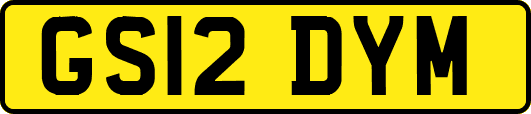 GS12DYM