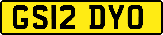 GS12DYO