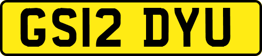 GS12DYU