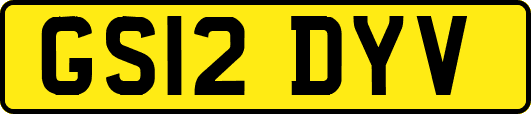 GS12DYV