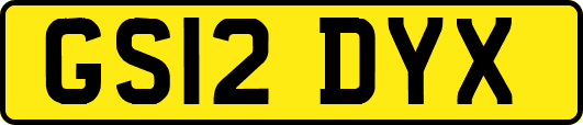 GS12DYX